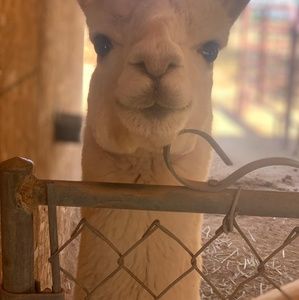 Meet your Posher, Kevin